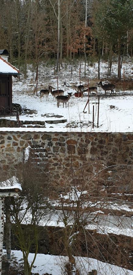 Hajovna Hnevnice Luaran gambar